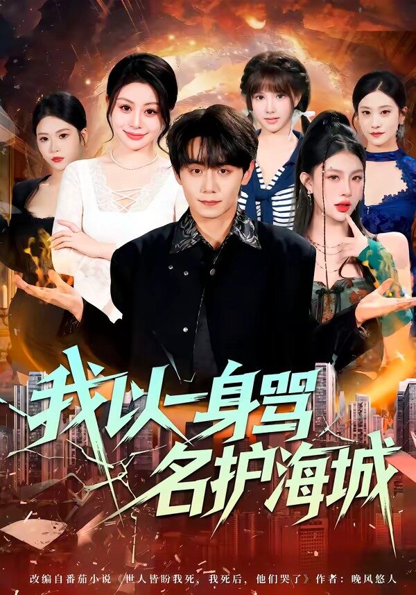 我以一身骂名护海城海报