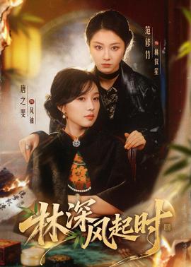 林深风起时海报
