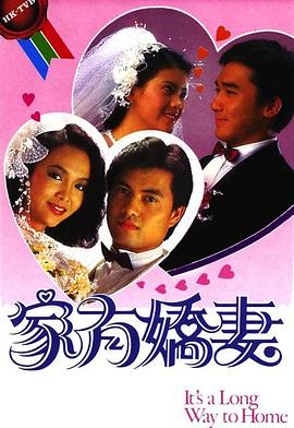 家有娇妻海报