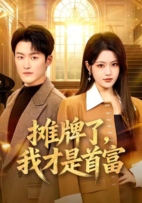 摊牌了，我才是首富海报