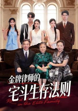 金牌律师的宅斗生存法则海报
