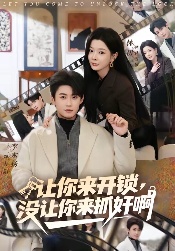 让你来开锁，没让你来抓奸啊海报