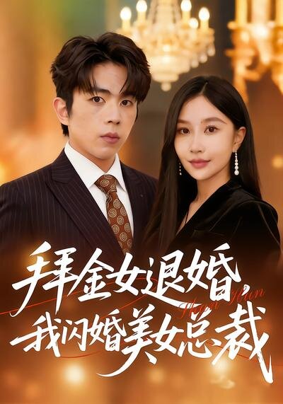 拜金女退婚，我闪婚美女总裁海报