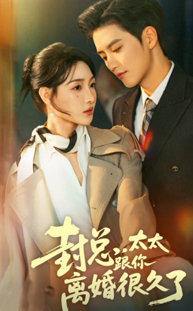 封总，太太跟你离婚很久了海报