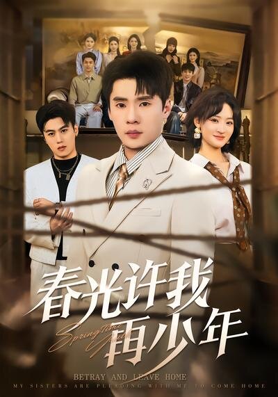 春光许我再少年海报