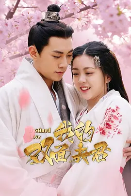我的双面夫君海报