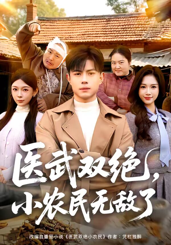 医武双绝，小农民无敌了海报