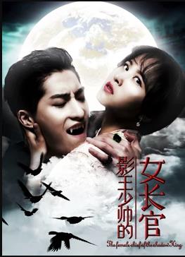 影王少帅的女长官海报