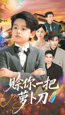 赊你一把萝卜刀海报