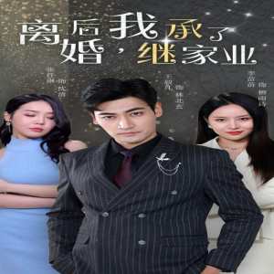 离婚后，我继承了家业海报