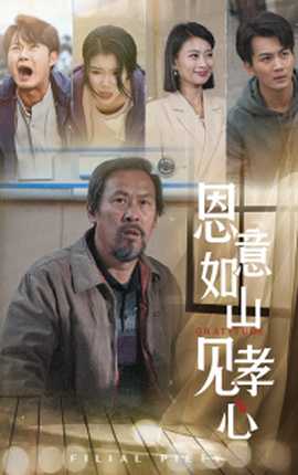 恩意如山见孝心海报