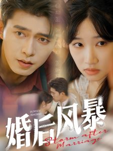 婚后风暴海报