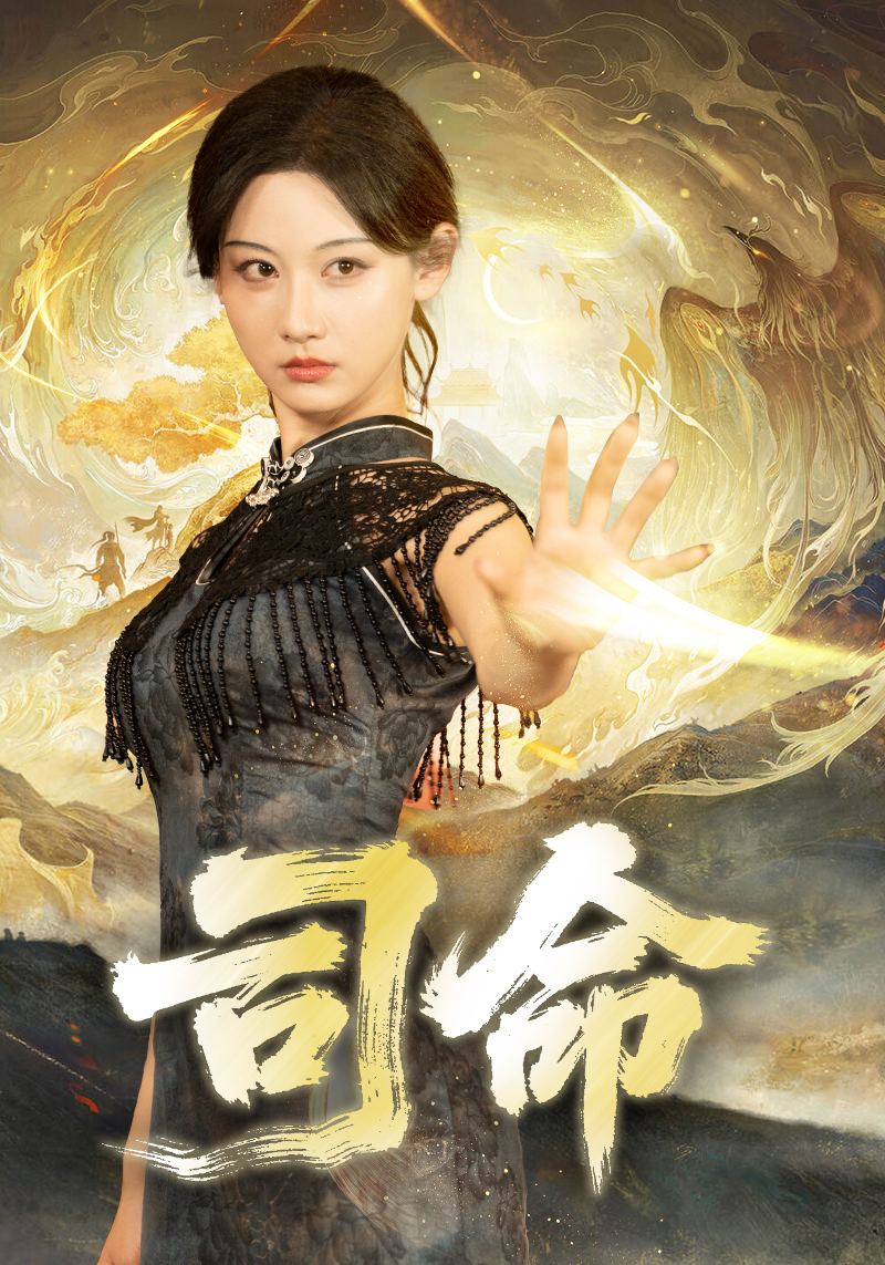 司命海报