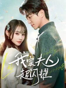 我家夫人超闪耀海报
