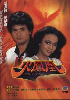 火凤凰1981海报