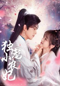 独宠小农妃海报