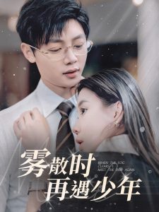 雾散时再遇少年海报