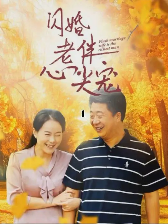 再回首闪婚之仍是心尖宠海报