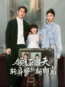领证当天转身嫁给新娘叔叔海报