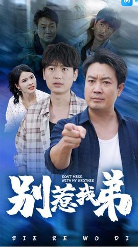 别惹我弟海报