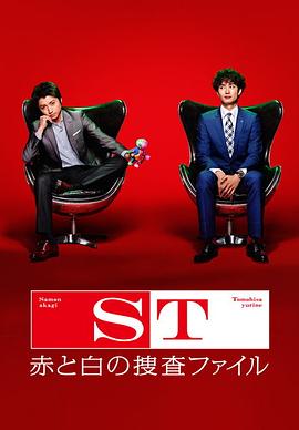 ST 红白搜查档案海报