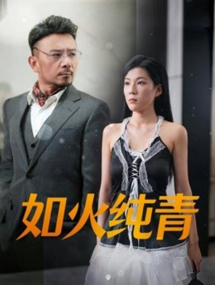 如火纯青海报