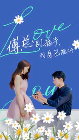 傅总别插手，我自己能行海报