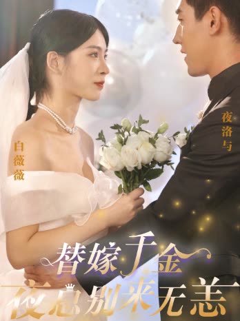 替嫁千金夜总别来无恙海报