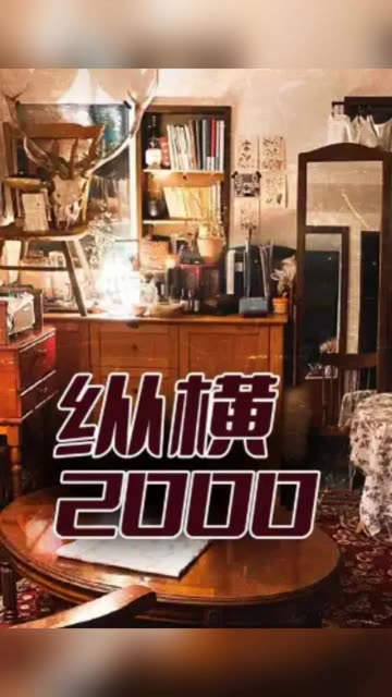 纵横2000海报