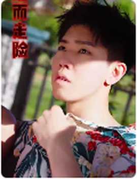 铤而走险$步步高升海报