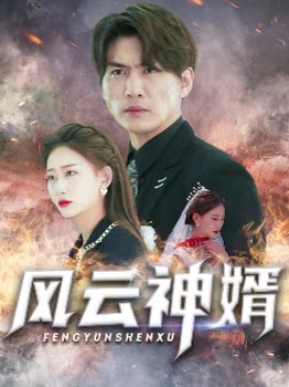 风云神婿海报