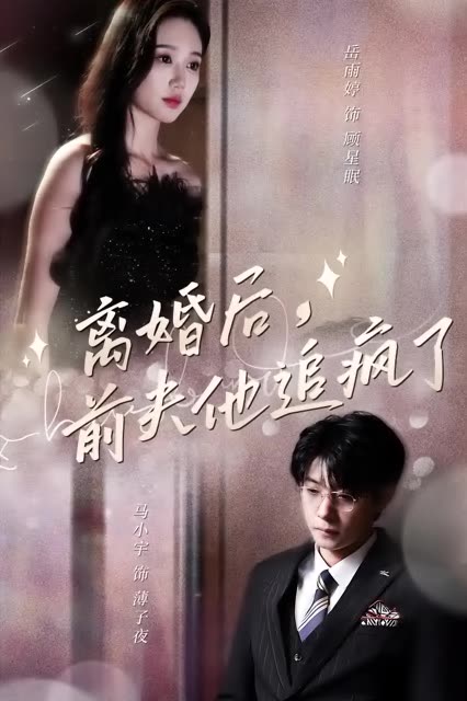 离婚后，前夫他追疯了今夜星光璀璨海报
