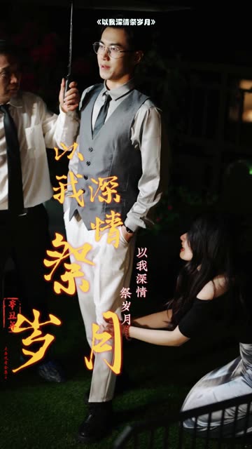 以我深情祭岁月海报