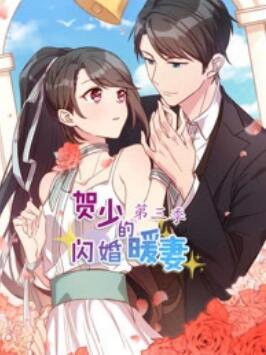 贺少的闪婚暖妻 动态漫第三季海报