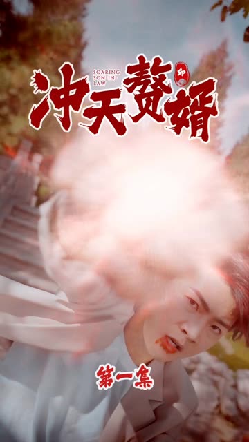 冲天赘婿海报