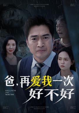 爸再爱我一次好不好海报