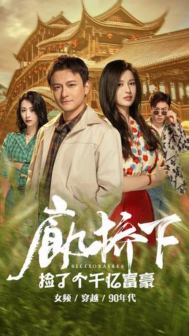 廊桥下捡了个千亿富豪海报