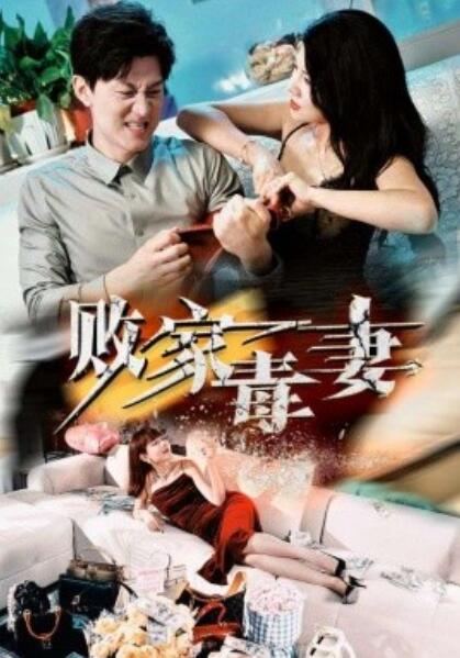 败家毒妻海报