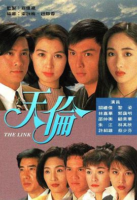 天伦国语1993海报