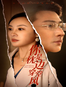 你是枕边穿堂风海报