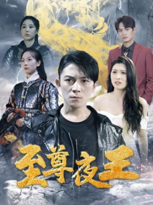 至尊夜王海报