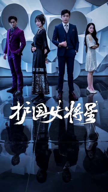 护国女将星海报
