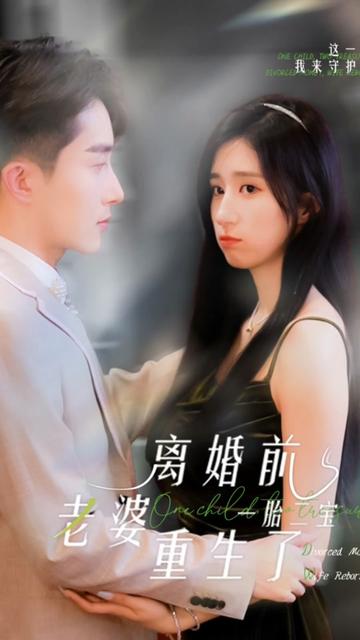 一胎二宝：离婚前老婆重生了海报