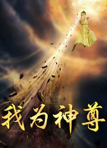 我为神尊海报