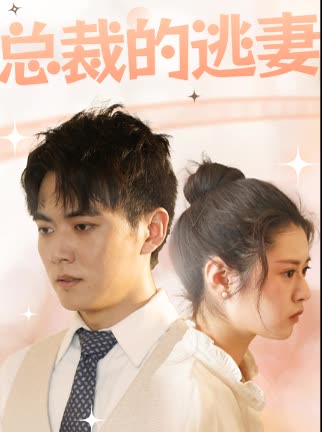 总裁的逃妻海报