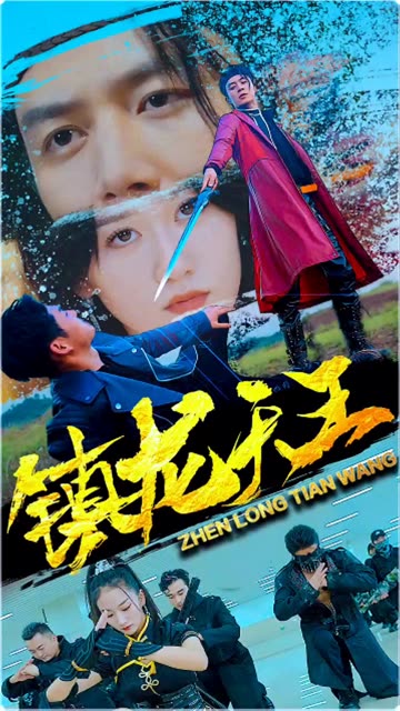 镇龙天王海报