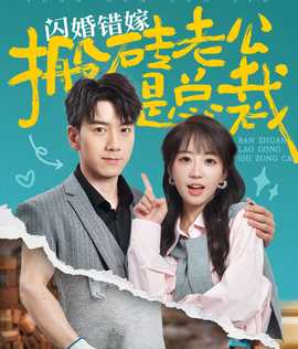 闪婚错嫁搬砖老公是总裁海报