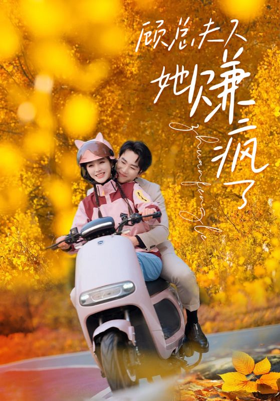 顾夫人她赚疯了海报