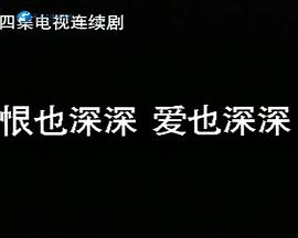 恨也深深爱也深深海报