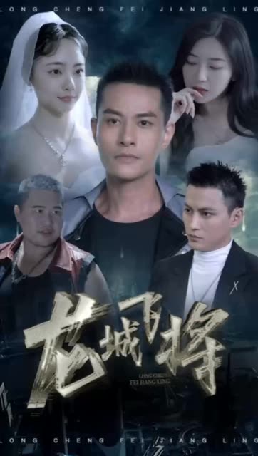 龙城飞将海报